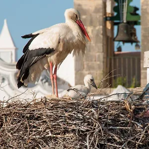 Ostello Stork, Olhão